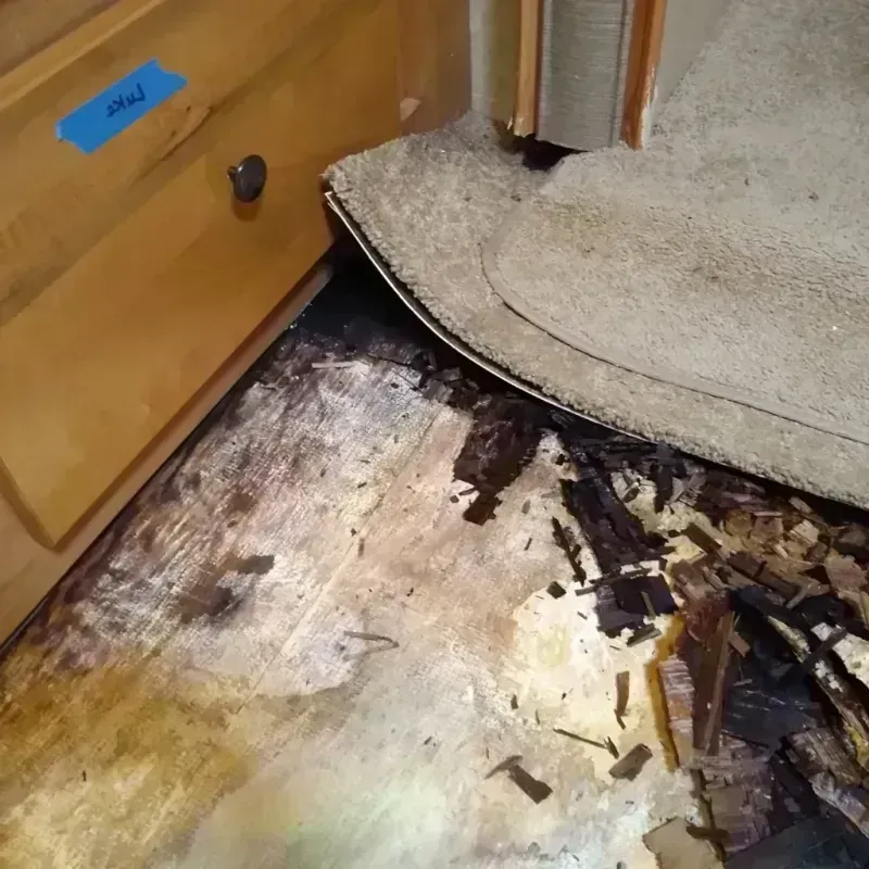 Wood Floor Water Damage in Columbia, SC